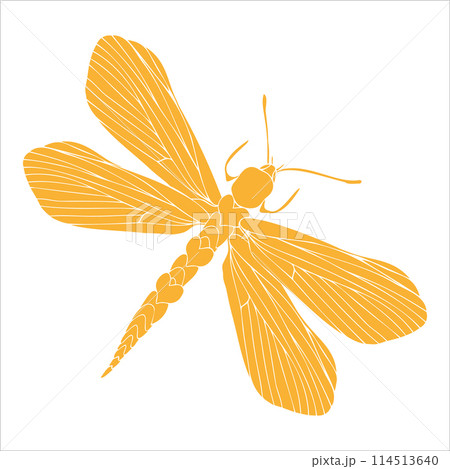 Dragonfly yellow silhouette art illustration. Insect butterfly for stickers, tattoo, silhouette, scrapbook. Winged gorgeous animal. Vector hand drawn illustration, isolate on white background 114513640