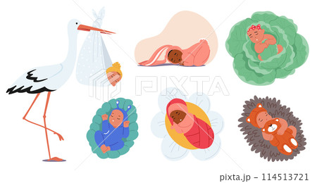 Set Of Vector Illustrations Featuring Serene Babies In Various Adorable Settings. Nestled In Cabbage, With A Stork 114513721
