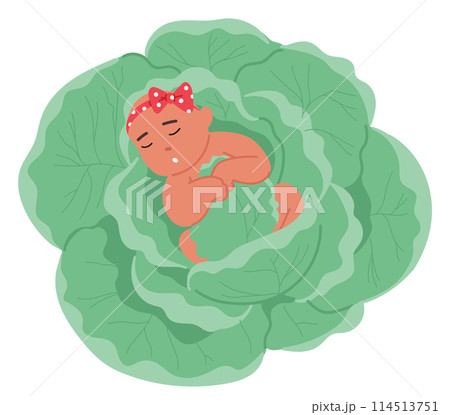 Cute, Peaceful Baby Character With A Polka-dot Bow, Comfortably Napping On A Bed Of Green Cabbage Leaves, Vector Cute, Peaceful Baby Character With A Polka-dot Bow, Comfortably Napping On A Bed Of Green Cabbage Leaves, Vector 114513751