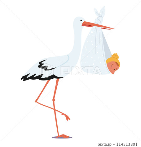 Stork Carrying A Newborn Baby In A Bag, Symbolizing New Life, Delivery, And The Classic Tale Of A Stork Bringing A Child 114513801