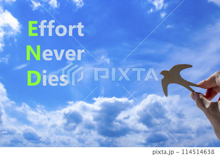 END effort never dies symbol. Concept words END effort never dies on beautiful blue sky clouds background. Wooden bird. Businessman hand. Business END effort never dies concept. Copy space. 114514638