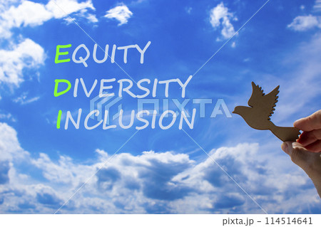 EDI equity diversity inclusion symbol. Concept words EDI equity diversity inclusion on blue sky clouds background. Wooden bird. Business EDI equity diversity inclusion concept. Copy space. 114514641