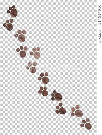 Traces of felines. Animal trail. Cartoon style. Watercolor creative sketch 114514916