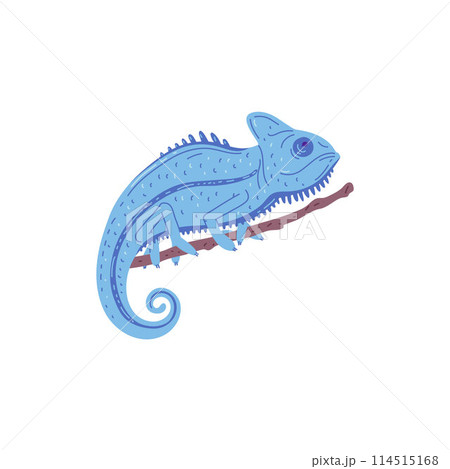 Vector illustration on a white background with a blue chameleon sitting on a tree branch 114515168