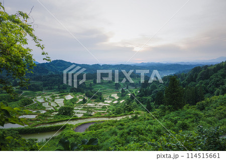 新潟 星峠の棚田 114515661