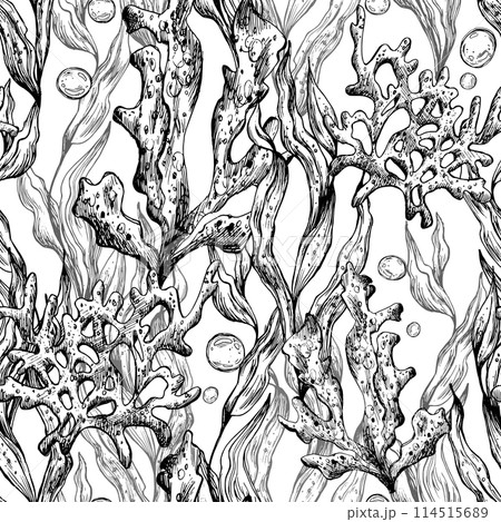 Underwater world clipart with sea animals, bubbles, coral and algae. Graphic illustration hand drawn in black ink. Seamless pattern EPS vector. 114515689