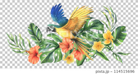 Tropical palm leaves, monstera and flowers of plumeria, hibiscus, bright juicy with blue-yellow macaw parrot. Hand drawn watercolor botanical illustration. Composition isolated from the background 114515696