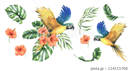 Tropical palm leaves, monstera and flowers of plumeria, hibiscus, bright juicy with blue-yellow macaw parrot. Hand drawn watercolor botanical illustration. Set of elements isolated from background 114515700