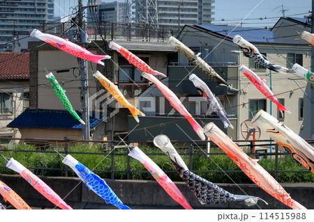 鯉のぼり 114515988