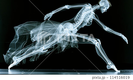 Running Skeleton in X-ray View Displaying Detailed Bone Structure 114516019