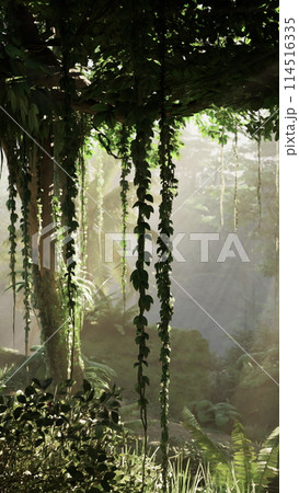 Dense Green Forest Full of Trees 114516335