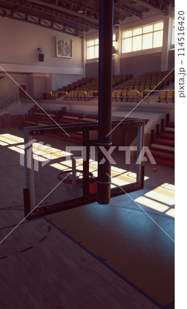 Basketball Court With Central Hoop 114516420