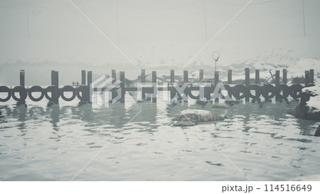 Misty Morning at an Old Wooden Pier in Norway 114516649