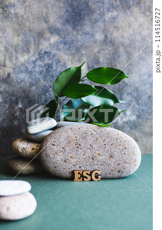 ESG concept wooden letters near a stone and branches with leaves on a green vertical view 114516727