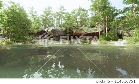 Water Body Surrounded by Trees and Rocks Water Body Surrounded by Trees and Rocks 114516751