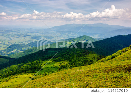 mountainous carpathian landscape of ukraine in summer. view from mountain pikui. borzhava ridge in the far distance 114517010