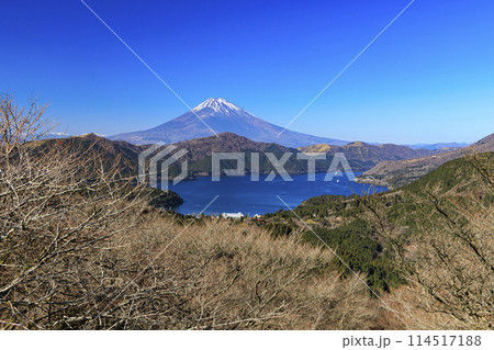 神奈川県下足柄群箱根町の大観山から撮影した富士山（冬） 114517188