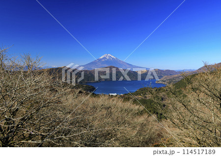 神奈川県下足柄群箱根町の大観山から撮影した富士山（冬） 114517189