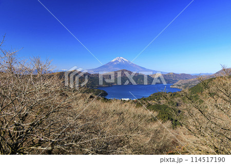 神奈川県下足柄群箱根町の大観山から撮影した富士山（冬） 114517190