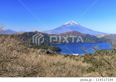神奈川県下足柄群箱根町の大観山から撮影した富士山（冬） 114517194