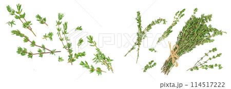 fresh thyme isolated on a white background with  full depth of field, Top view. Flat lay 114517222