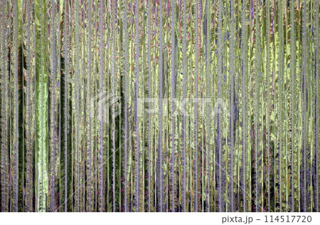 ガラスの縞模様 114517720