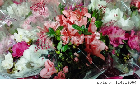 bouquet of flowers of different colors for sale bouquet of flowers of different colors for sale 114518064