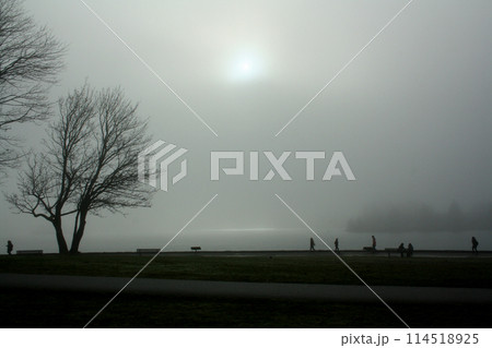Stanley Park on a foggy day. Vancouver, British Columbia, Canada Stanley Park on a foggy day. Vancouver, British Columbia, Canada 114518925