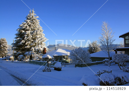 Burnaby, British Columbia, on a sunny winter day Burnaby, British Columbia, on a sunny winter day 114518929
