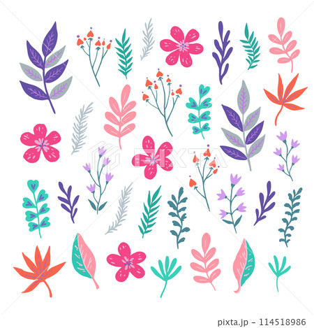 Big set of simple botanical elements. Cute doodle plants and flowers. Vector illustration. Big set of simple botanical elements. Cute doodle plants and flowers. Vector illustration. 114518986