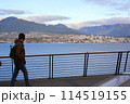 A person looking at north Vancouver from downtown seawall 114519155