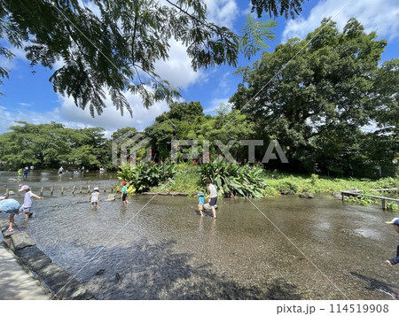 夏の風景　じゃぶじゃぶ池 114519908