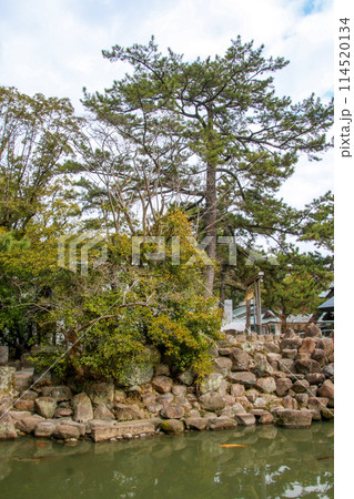 西宮神社 114520134