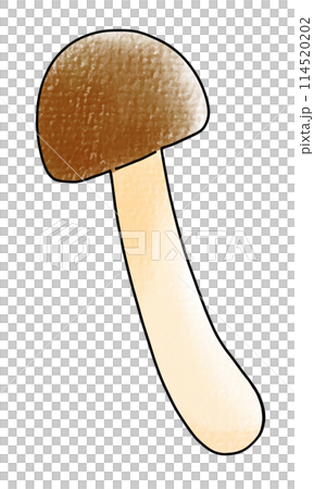 寬鬆簡單的bunshimeji模擬風格 114520202