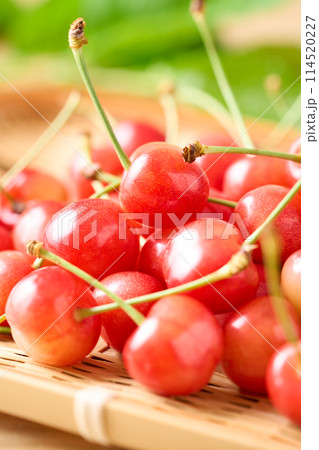 ざるに盛ったさくらんぼ（山形県産佐藤錦） 114520227
