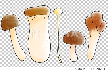 Loose and simple classic mushroom set, analog style 114520231