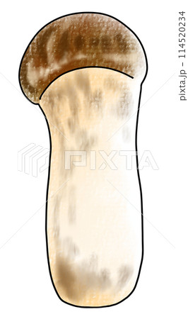 ゆるめシンプル松茸　アナログ風 114520234