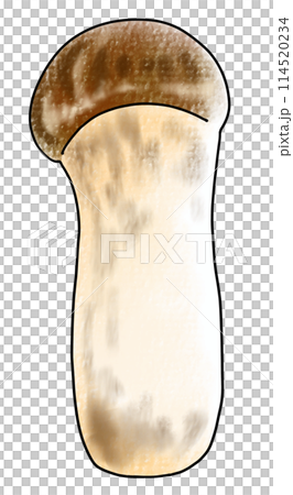 ゆるめシンプル松茸　アナログ風 114520234