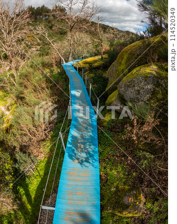 Walkway trilho dos Gaios 114520349