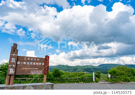 長野県下諏訪町 夏の八島湿原の入り口 長野県下諏訪町 夏の八島湿原の入り口 114520373