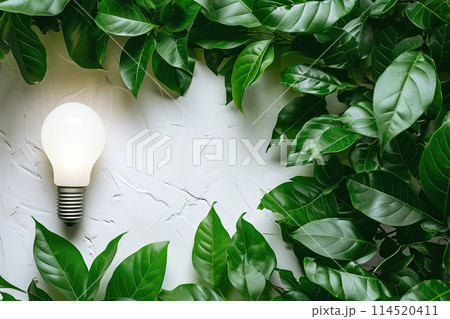 Illuminated eco friendly lightbulb surrounded by lush green leaves 114520411