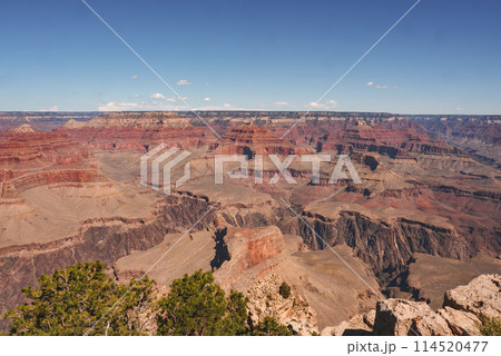 Panoramic view of Grand Canyon, Arizona, USA. Capturing stunning layers of red rock, deep gorges, greenery, and clear blue skies. Popular tourist destination renowned for immense scale. Panoramic view of Grand Canyon, Arizona, USA. Capturing stunning layers of red rock, deep gorges, greenery, and clear blue skies. Popular tourist destination renowned for immense scale. 114520477