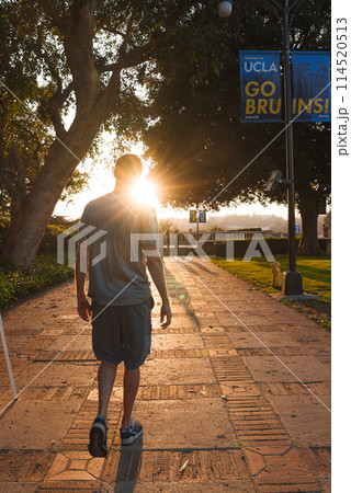 Young man walking down a walkway with a warm backlight, creating a lens flare effect. Lush greenery on the left and UCLA banner on the right, suggesting a college campus setting. Young man walking down a walkway with a warm backlight, creating a lens flare effect. Lush greenery on the left and UCLA banner on the right, suggesting a college campus setting. 114520513