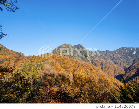 西沢渓谷から鶏冠山を望む 114520678