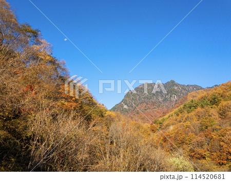 西沢渓谷から望む鶏冠山と有明の月 114520681