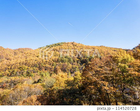 西沢渓谷から紅葉した山を望む 114520728
