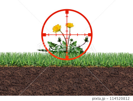 Targeting Weeds Targeting Weeds 114520812