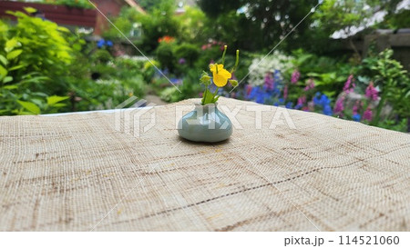 spring garden spring garden 114521060