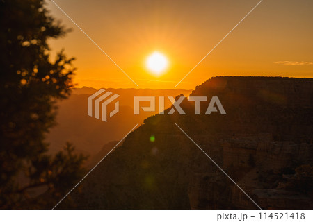 Serene sunset with golden glow showcasing silhouette of tree branch, rugged terrain, distant ridges, and dreamy lens flare. Ideal for nature lovers and landscape enthusiasts. 114521418