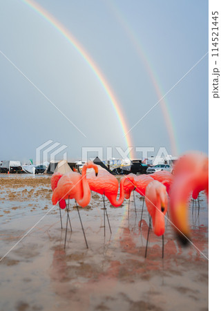 Vibrant pink flamingo lawn ornaments stand out in a desert festival scene post rainfall. A double rainbow adds wonder to the temporary camping area behind them. 114521445